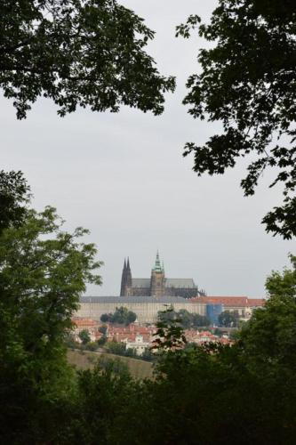 DSC 0608