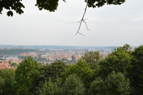 DSC 0610