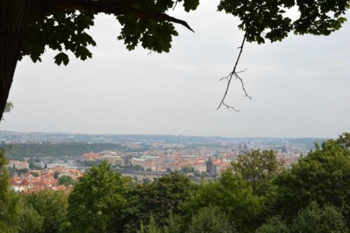DSC 0611