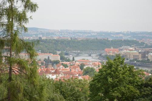 DSC 0612